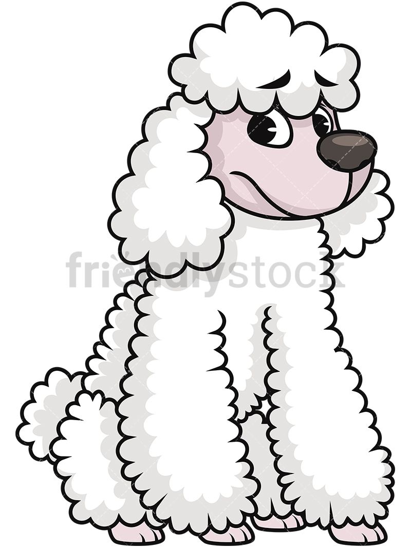 800x1067 sad poodle clipart of animals poodle, clip art, cartoon