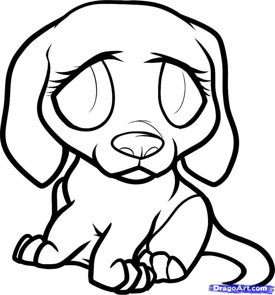 954x1024 Sad Puppy Eyes Drawing Via Pets Gallery Blog