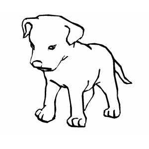 300x300 Sad Puppy Coloring Pages