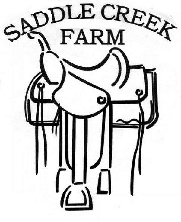 600x735 Saddle Creek Farm On Equinenow