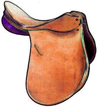 333x370 Sustainable Dressage