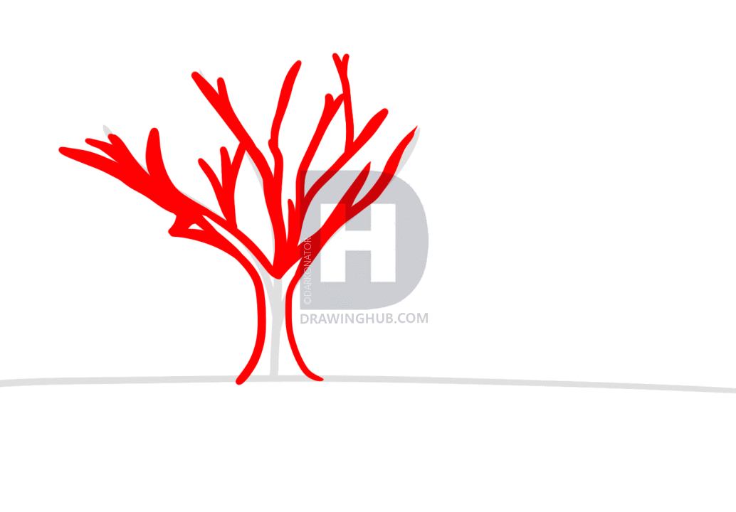 1034x720 How To Draw A Safari, Step