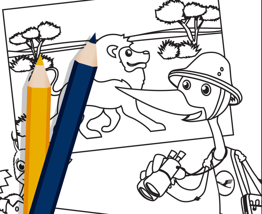 880x720 The Lufthansa Family Portal Drawing Template Safari