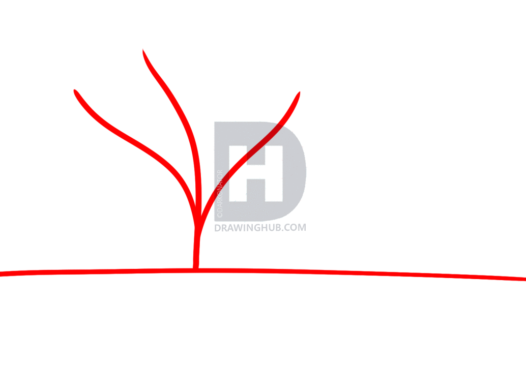 1034x720 How To Draw A Safari, Step