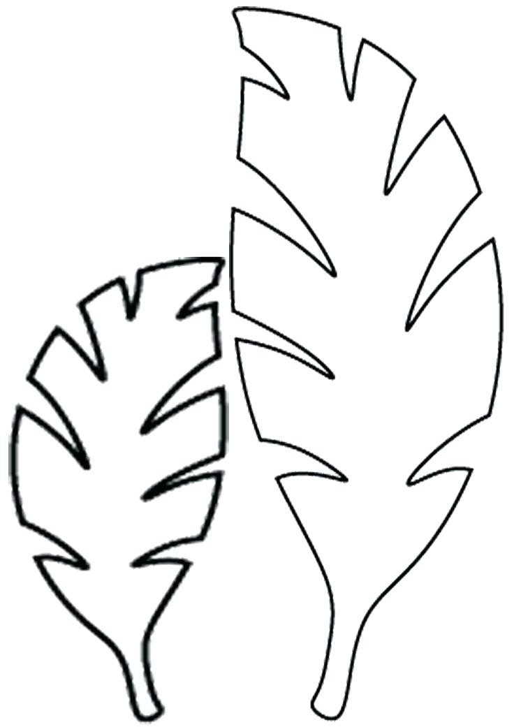 736x1041 Images Of Printable Leaf Template Jungle Free Leaves Drawing