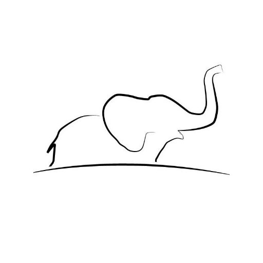 512x512 Little Elephant Camp On Twitter Lion Cubs In A Euphorbia Tree