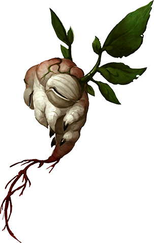 303x478 Solari Safari Sagalee Ridge