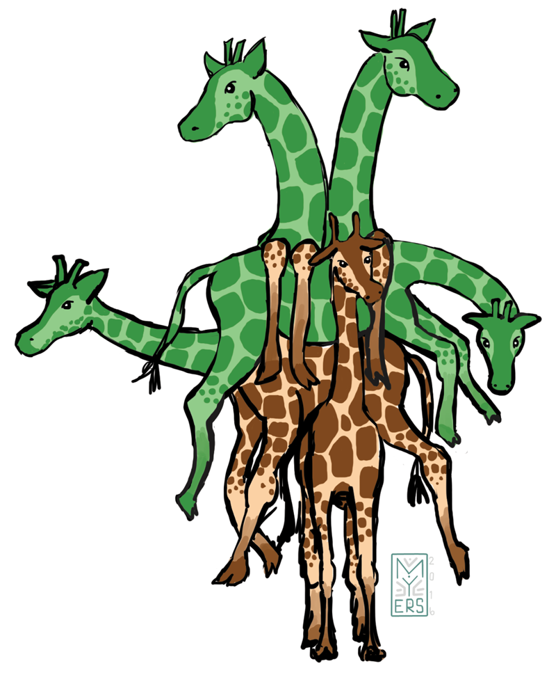 800x970 Drawing If Moms Could Write