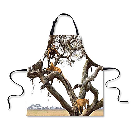 500x500 Iprint Bbq Apron,safari Decor,a Pride Of Lioness Panthera Leo