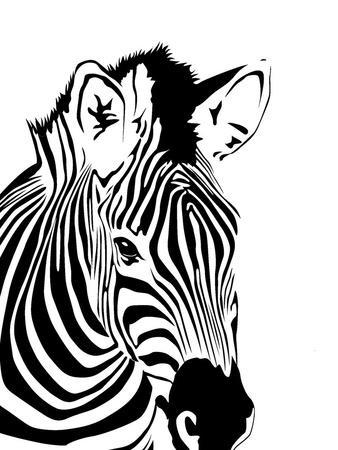 338x450 Zebra Art Print