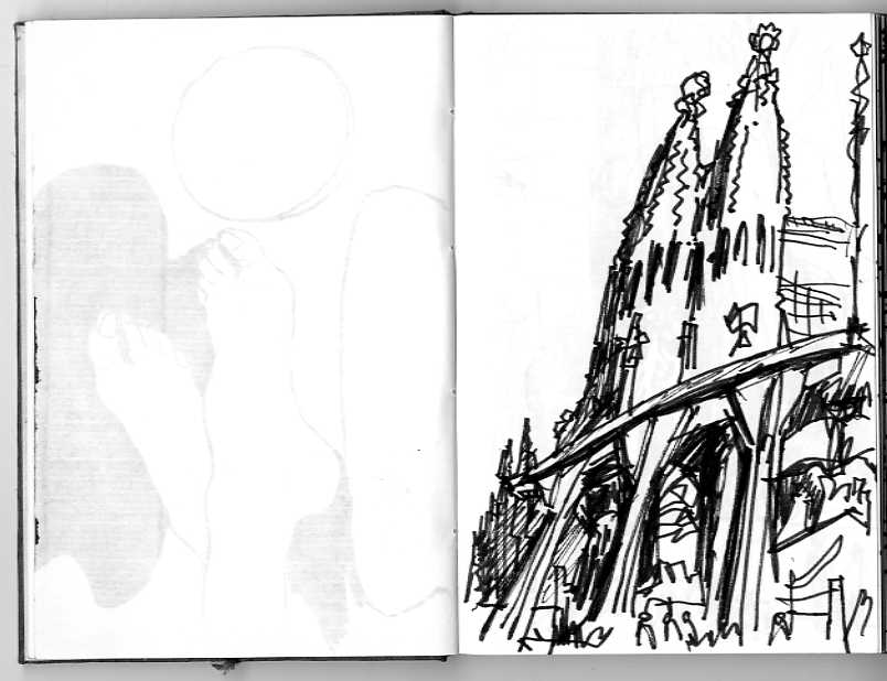 804x618 Eduardocortereal