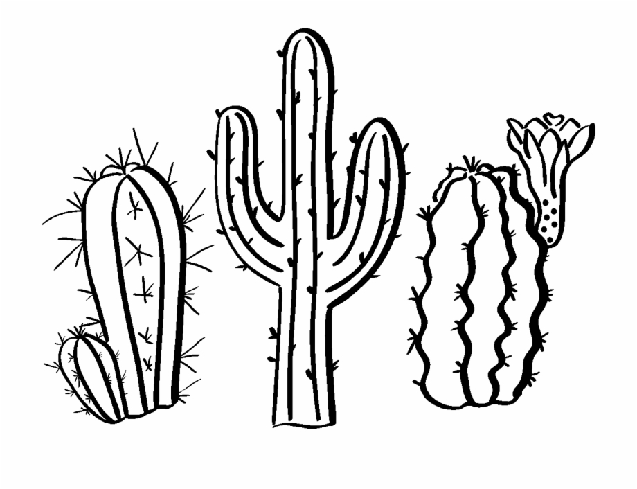 920x706 Sticker Boheme Cactus Du Desert Ambiance Sticker