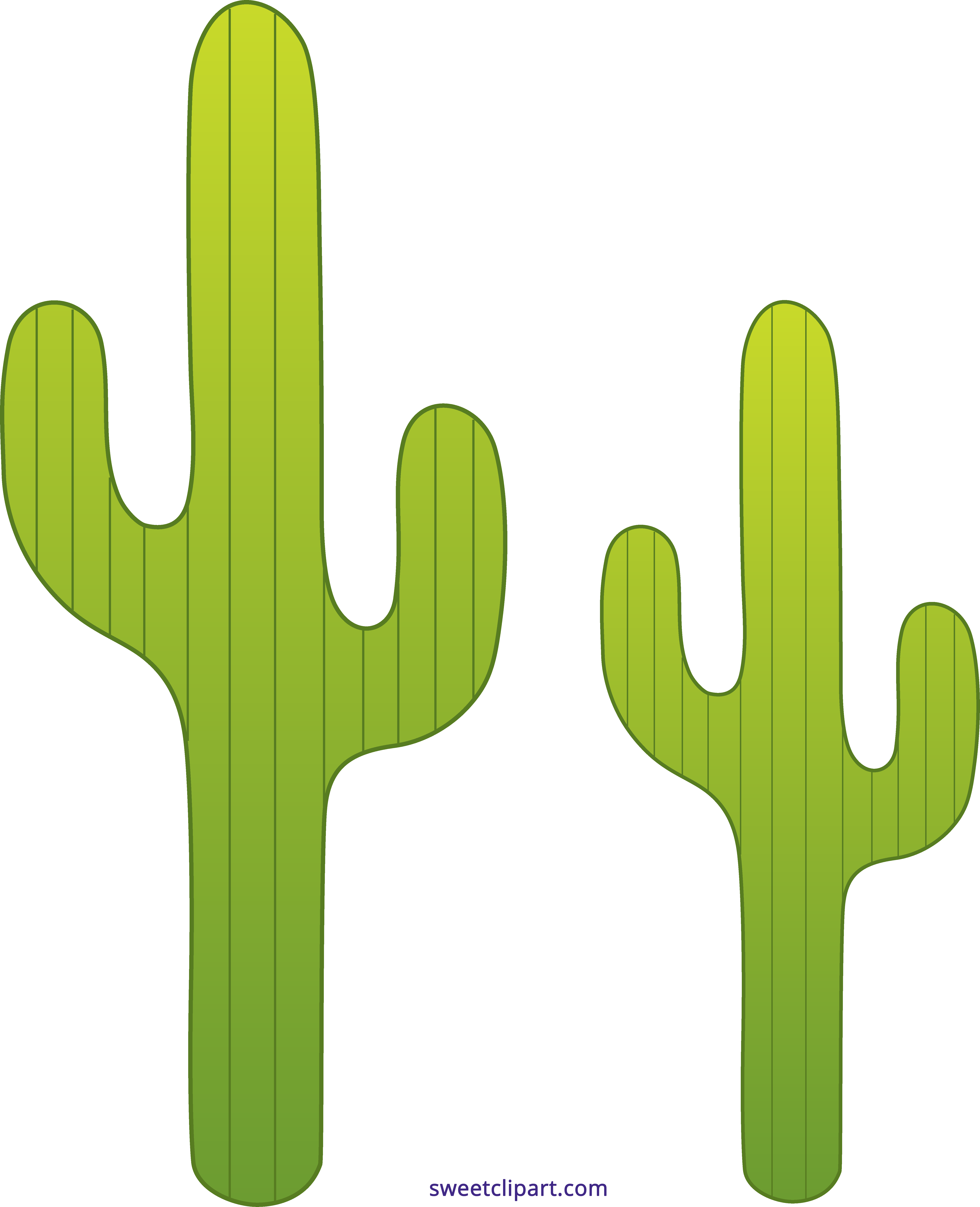 Saguaro Drawing