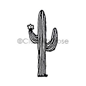 288x288 Claudia Rose