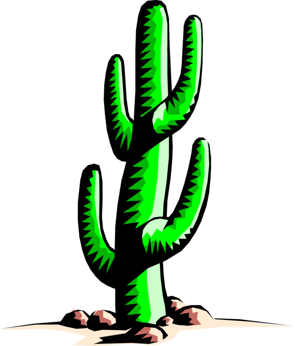 598x700 Collection Of Free Cactus Vector Saguaro Download On Ui Ex