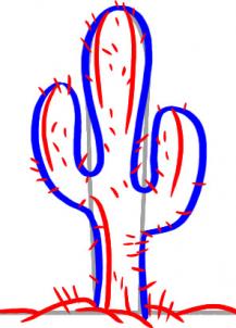 217x302 How To Draw How To Draw A Saguaro Cactus