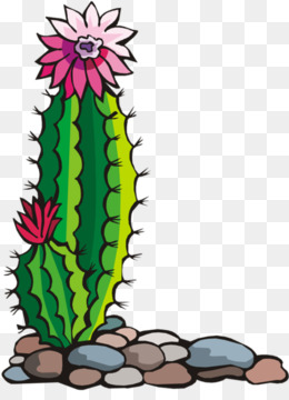 260x360 Saguaro Flower Png