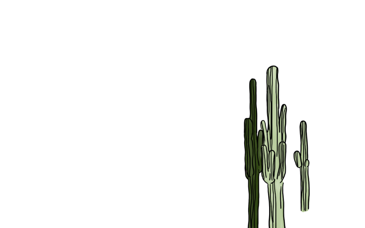 1280x800 Saguaro Drawing Basic Frames Illustrations Hd Images Photo