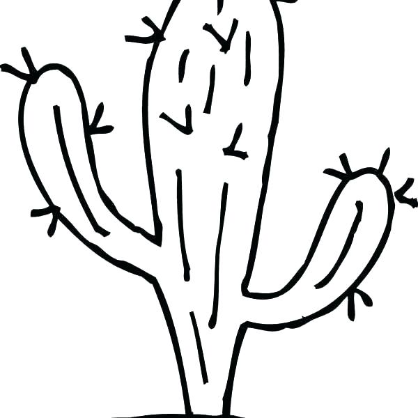 600x600 Cactus Coloring Sheet Zupa