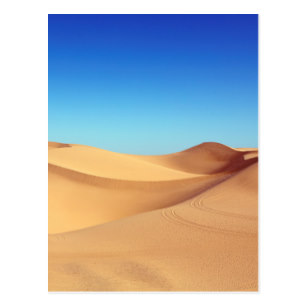 307x307 sahara desert postcards zazzle