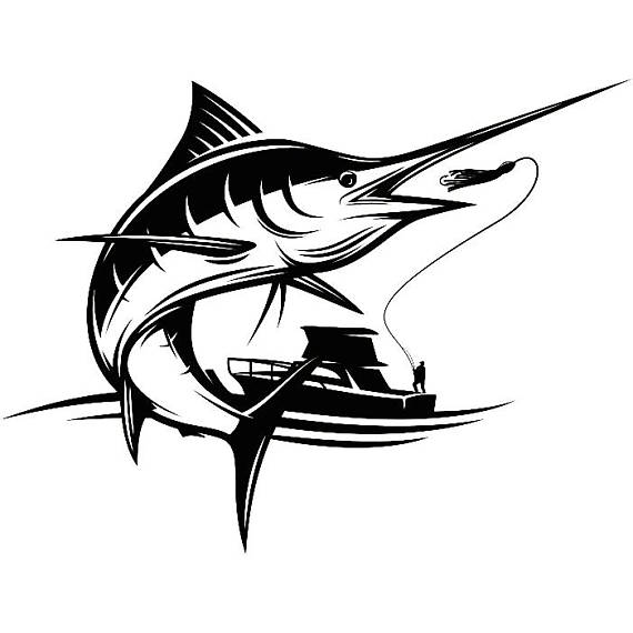 570x570 sailfish drawing sail fish for free download