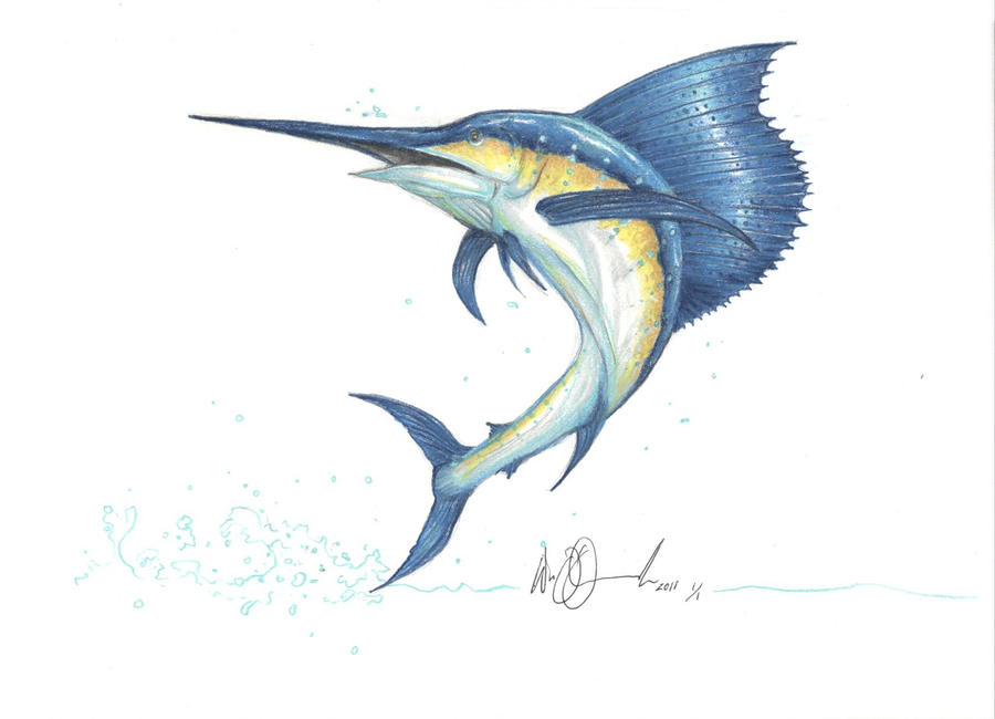 900x650 Sailfish Jumping