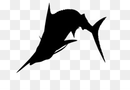 260x180 Sailfish Png