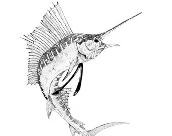 340x270 Sailfish Art Etsy
