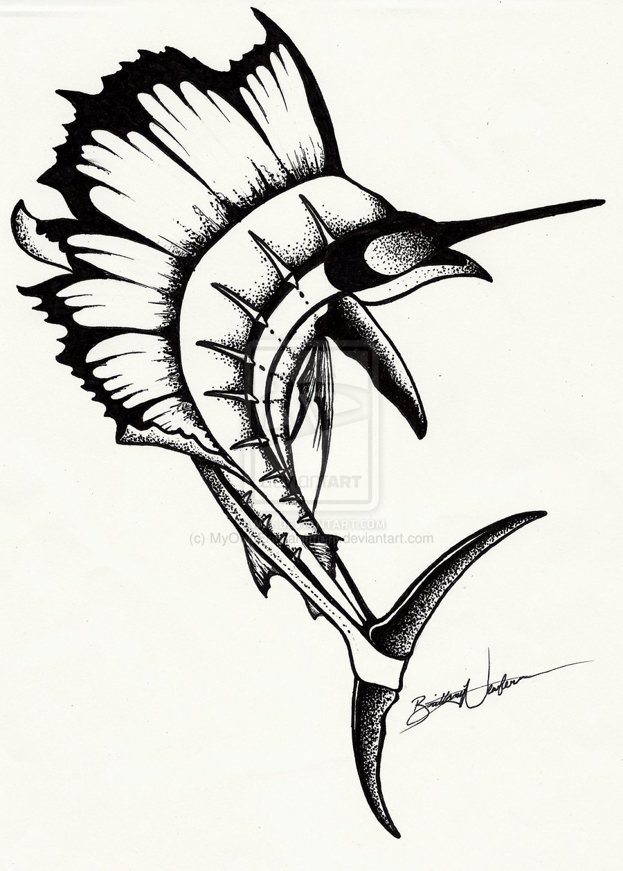 900x1258 Sailfish Drawing