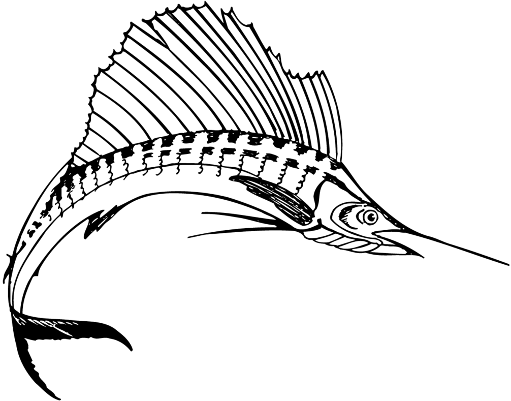 1006x789 Sailfish Drawing Free Download