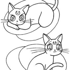 268x268 Sailor Hat Coloring