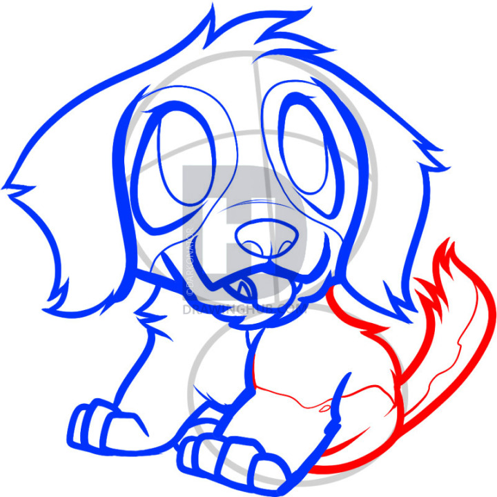 720x720 How To Draw A Saint Bernard Puppy, St Bernard Puppy, Step