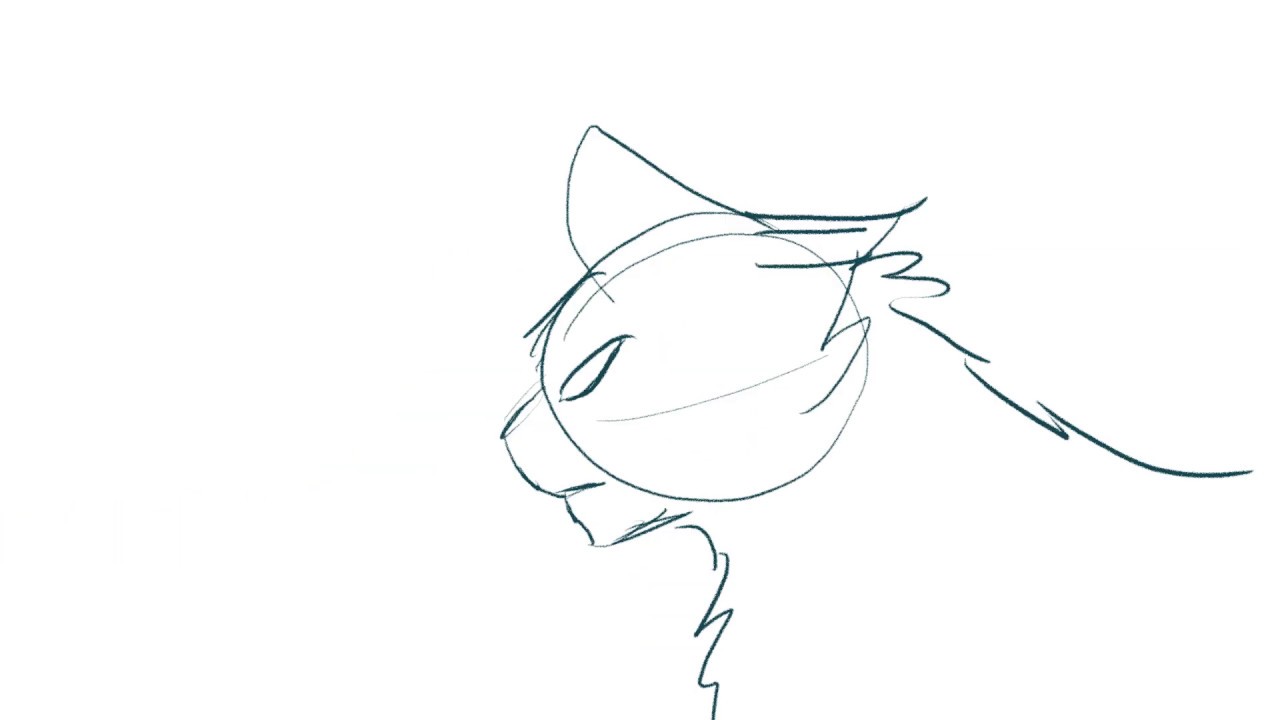 1280x720 Saint Bernard