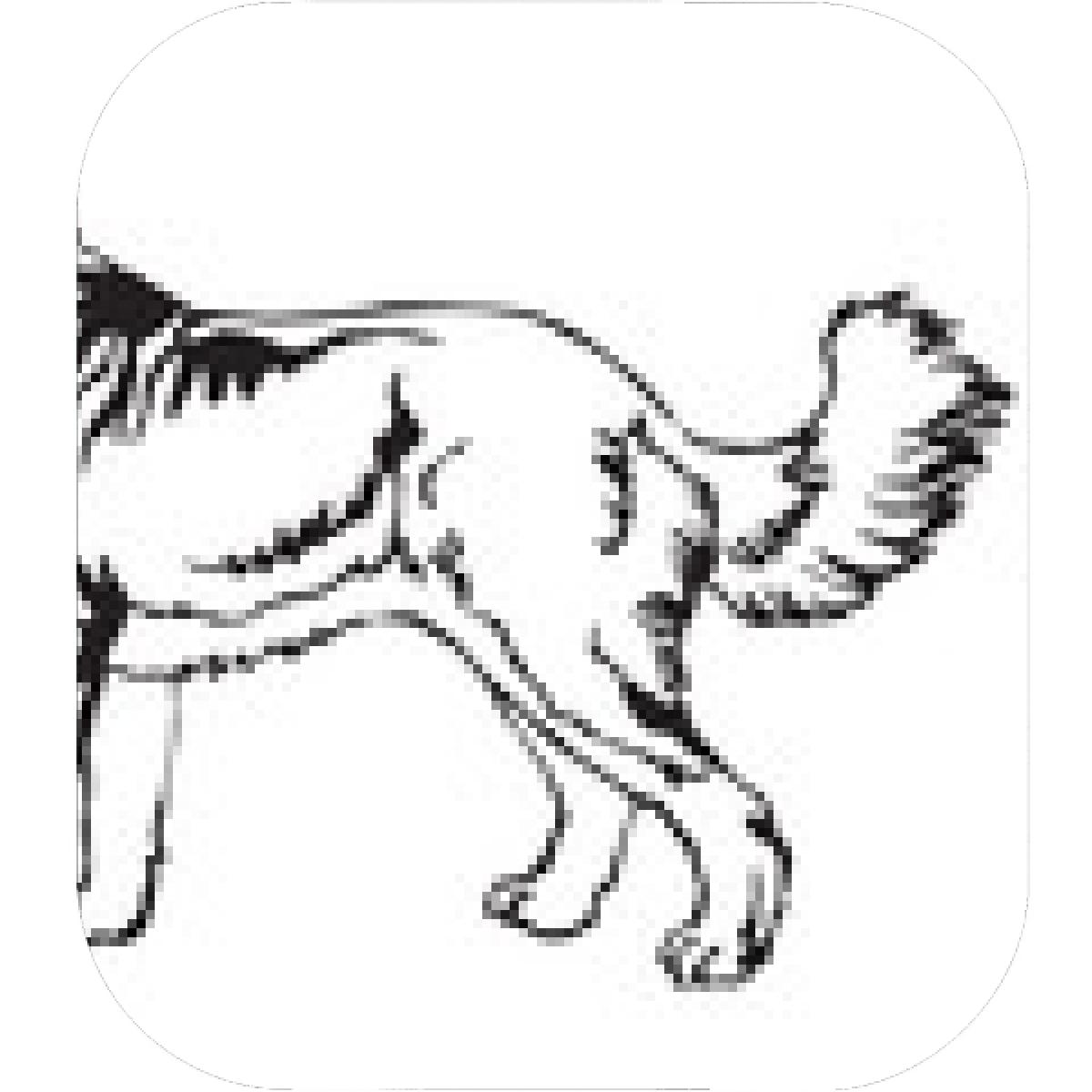 1200x1200 Designs Mein Mousepad Design Mousepad Selbst Designen