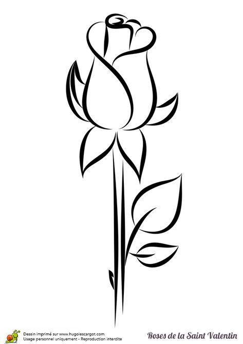 473x670 Coloriage Rose Saint Valentin Bouton Sur