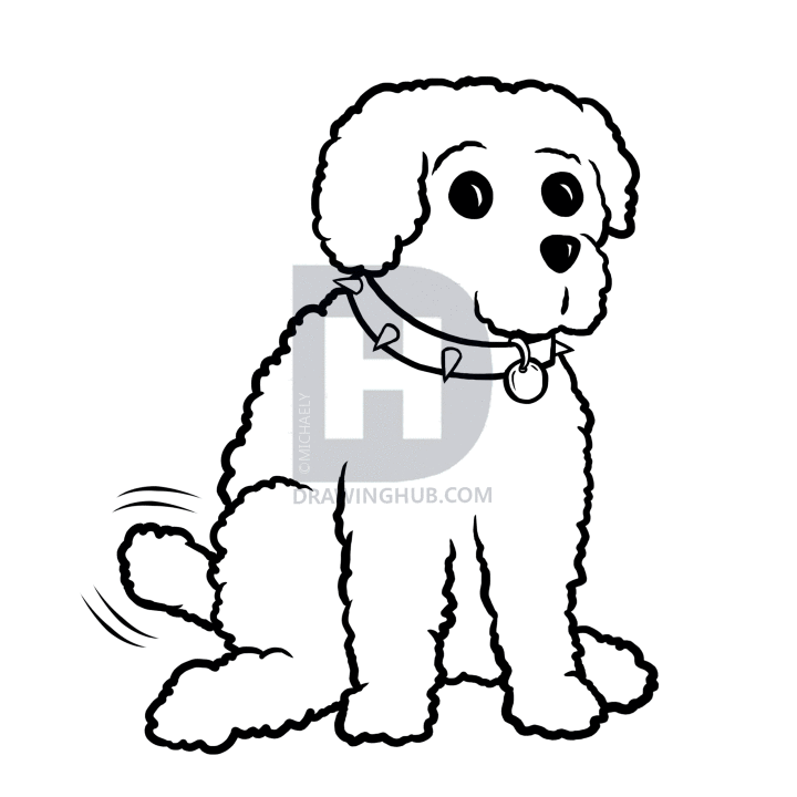 720x720 How To Draw A Miniature Poodle, Step