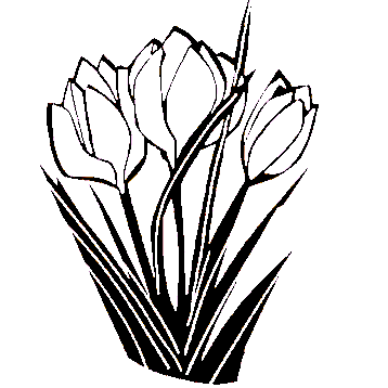 358x358 St Michael Parish Saint Louis University Sunday Web Site