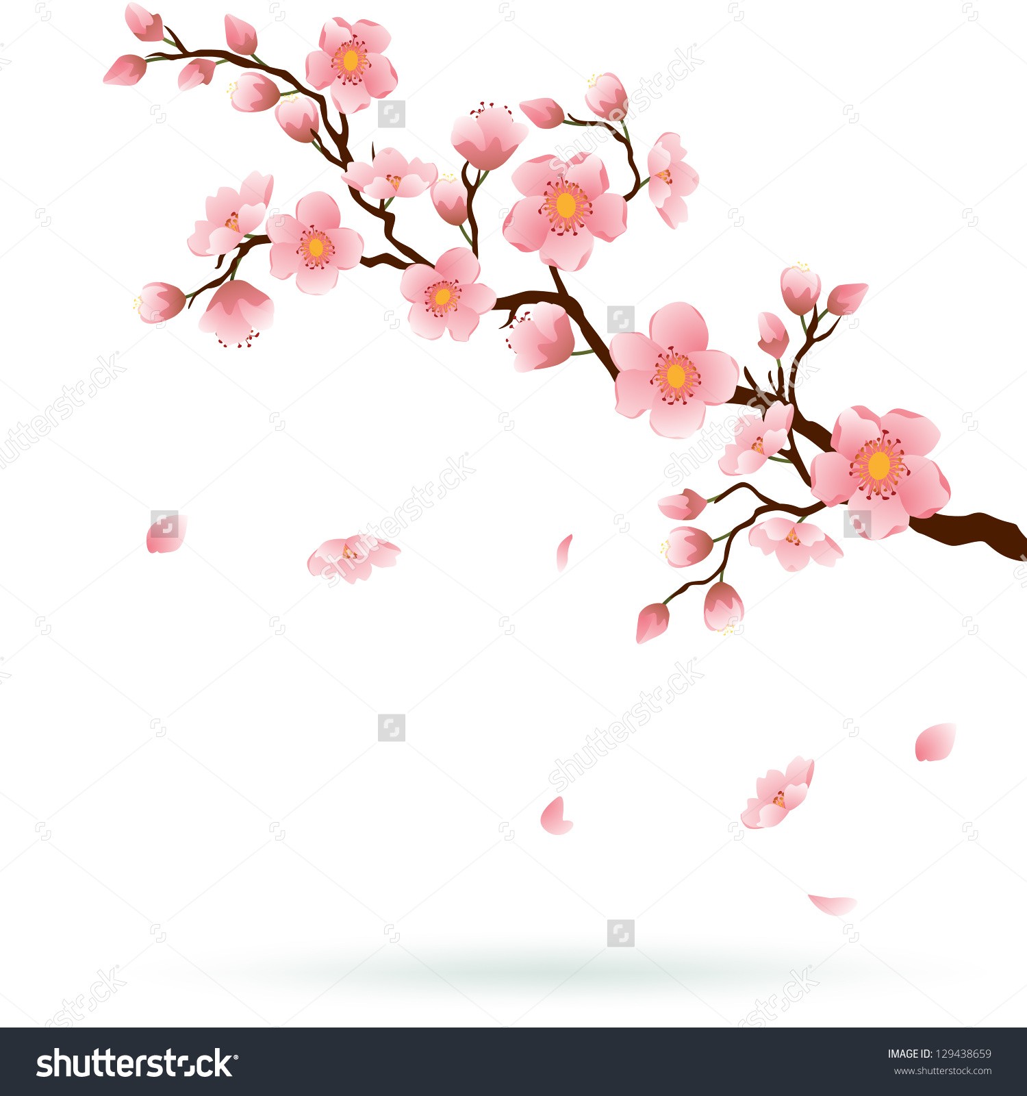 1500x1600 cherry blossom tree drawing best cherry blossom tree drawing