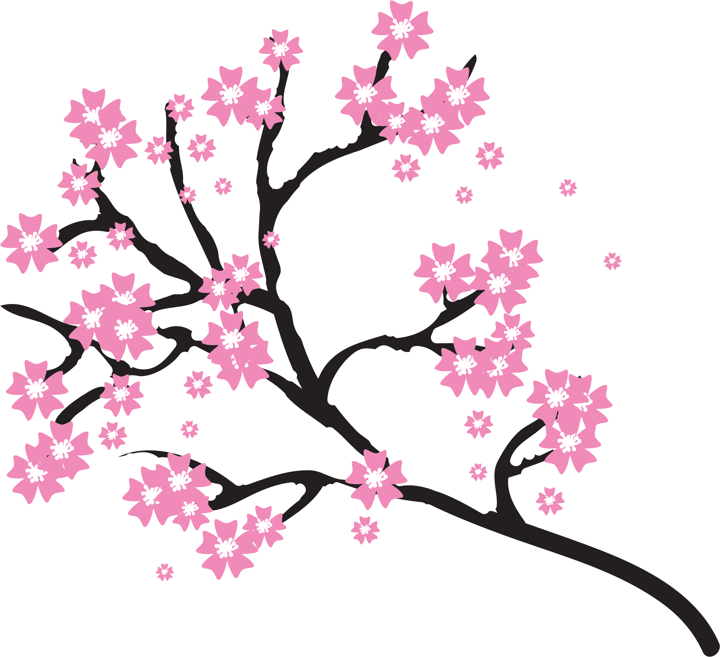 2300x2100 Collection Of Free Branches Drawing Sakura Tree Download On Ui Ex