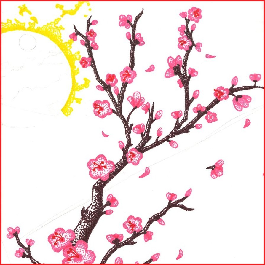 894x894 Sakura Blossom Clipart Flower Drawing Free Clip Art Stock
