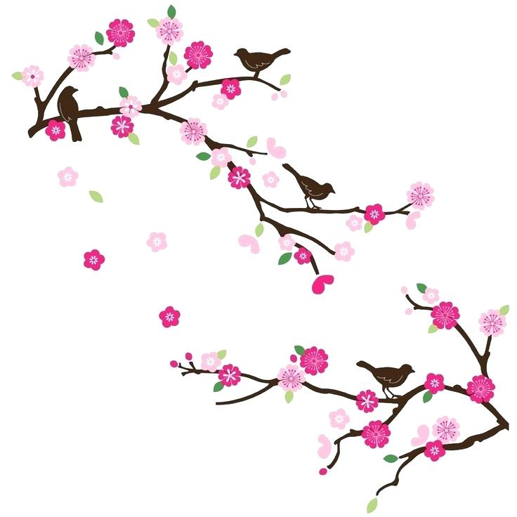 736x736 drawings of japanese cherry blossoms japanese cherry blossom