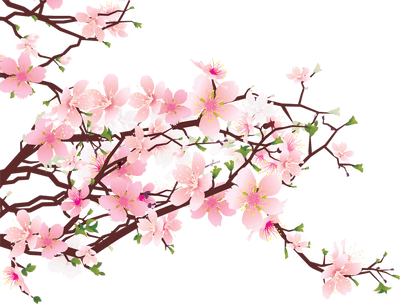 400x304 Blossom Drawing Landscape Transparent Png Clipart Free Download