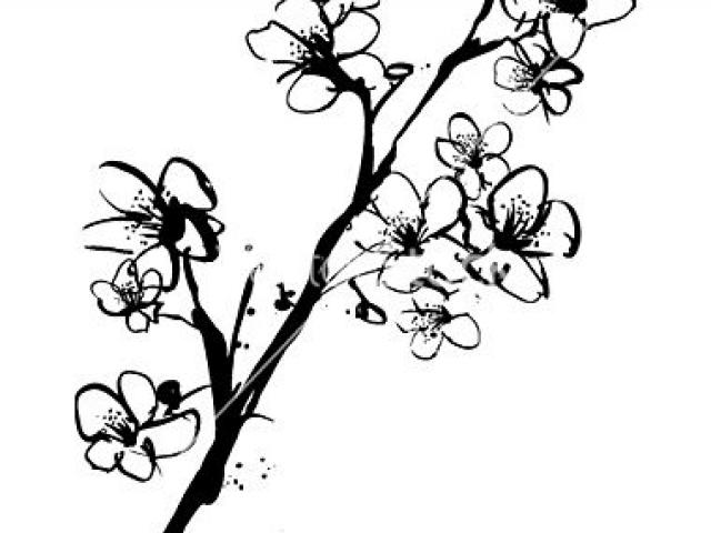 640x480 Cherry Blossom Clipart Free Clip Art Stock Illustrations