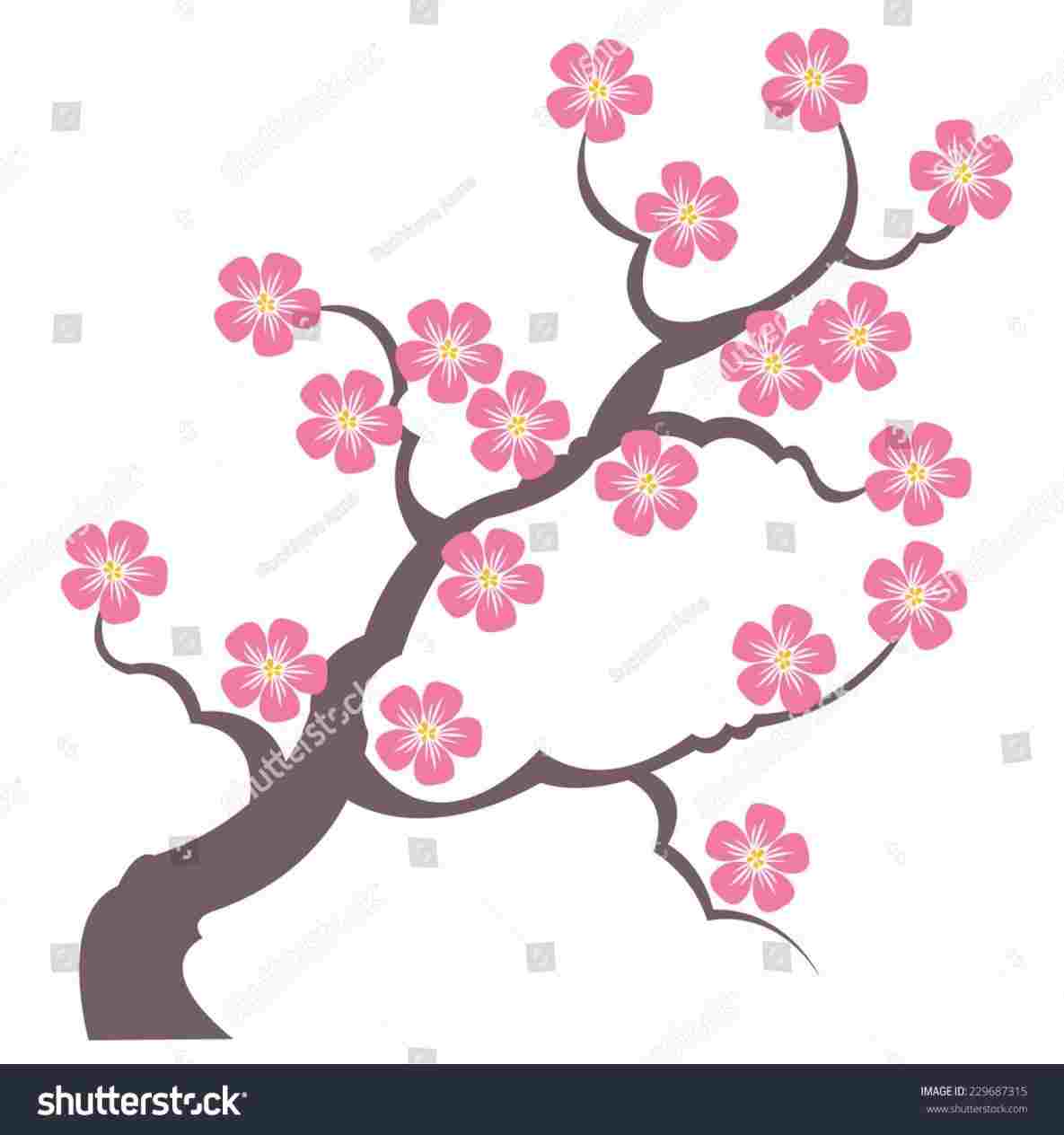 1185x1264 Cherry Blossom Tree Branch Drawing Drawing Fine Art