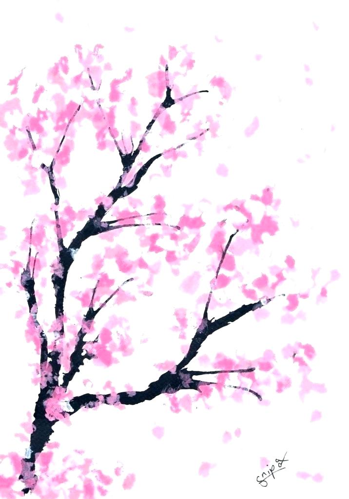 716x1024 Draw Cherry Blossom How To Draw Cherry Blossoms Also Trendy Ideas