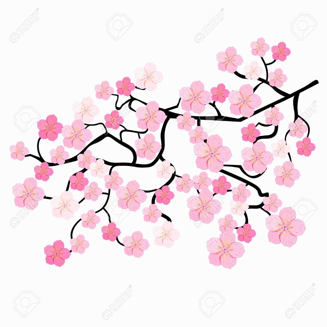 1300x1300 Huge Collection Of 'japanese Cherry Blossom Clipart' Download