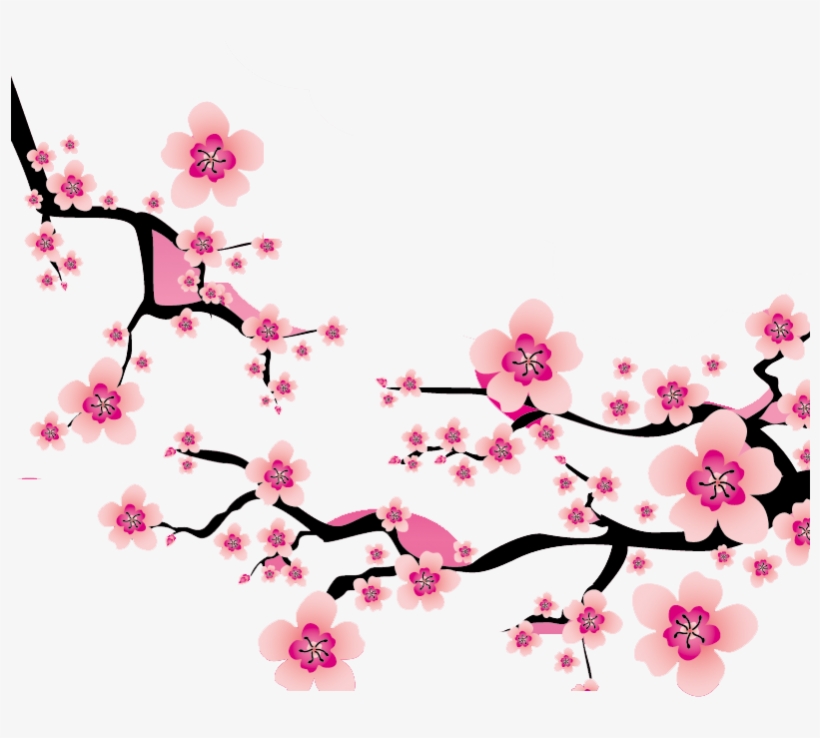 820x738 Sakura Blossom Clipart Plum Flower