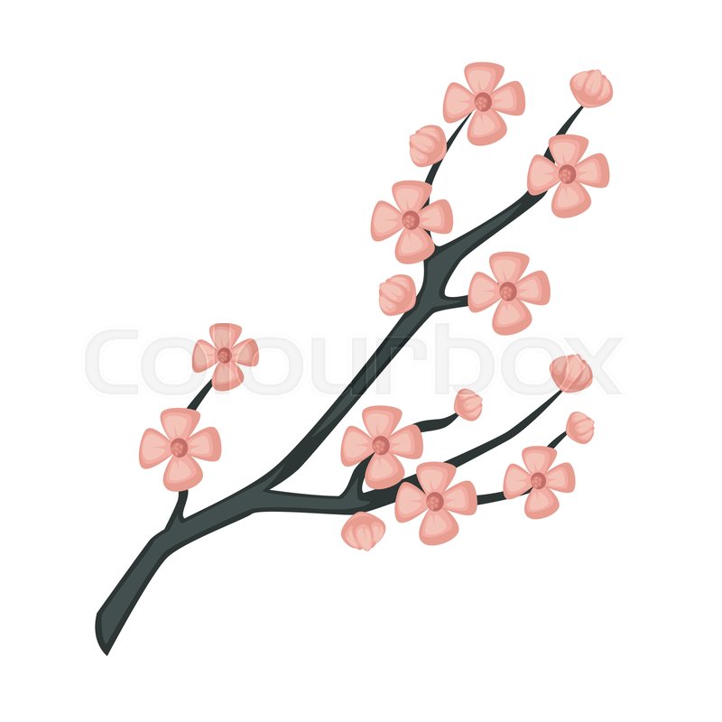 800x800 Travel To Japan Sakura Branch Spring Stock Vector Colourbox