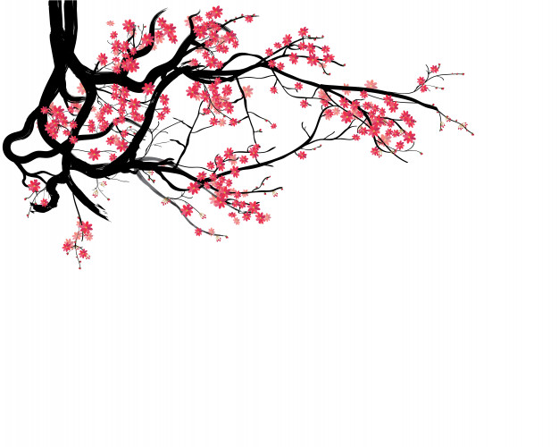 626x500 Watercolor Sakura Frame Vector Premium Download