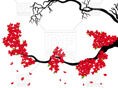 400x300 Blooming And Dried Sakura Branches Vector Image Of Plants